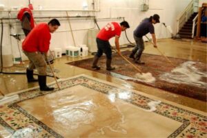 Carpet Cleaning calgary