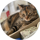 Jen Wagner profile picture